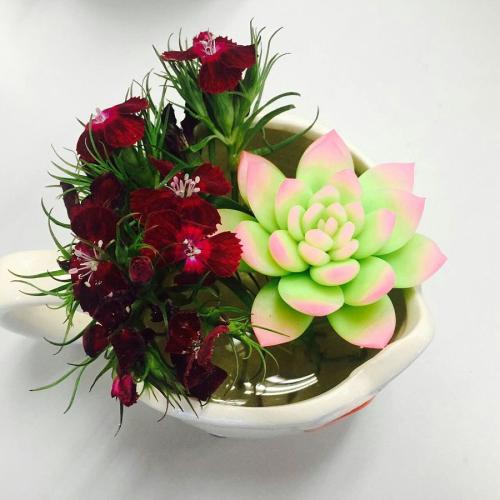 վƻش羳Ĳ 永ʽ4.4